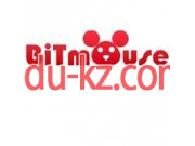 Интернет-магазин Bitmouse. com.ua
