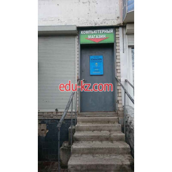 Интеллект
