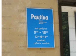 Pautina