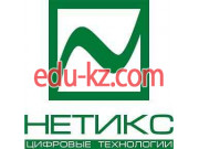 Компания Нетикс