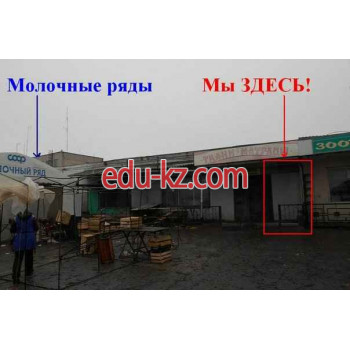 Детские игрушки