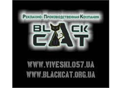 Black Cat