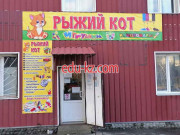 Рыжий кот