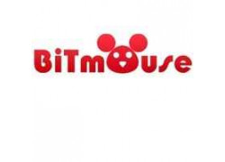 Интернет-магазин Bitmouse. com.ua